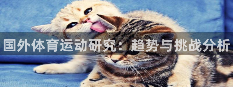 皇冠678体育：国外体育运动研究：趋势与挑战分析