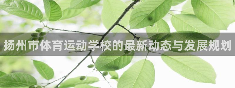 678体育：扬州市体育运动学校的最新动态与发展规划