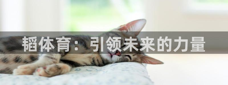 皇冠678体育：韬体育：引领未来的力量