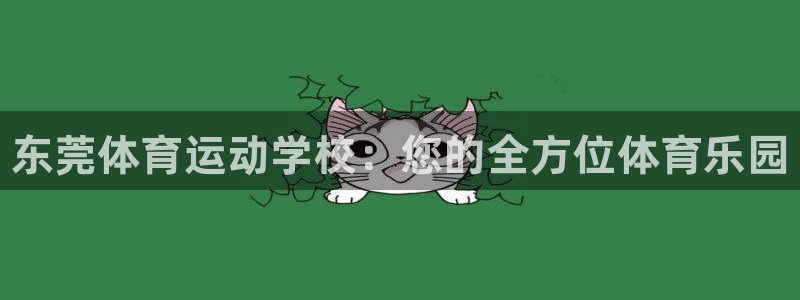 678体育官网