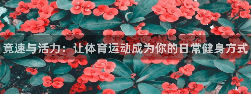 678体育：竞速与活力：让体育运动成为你的日常健身方式