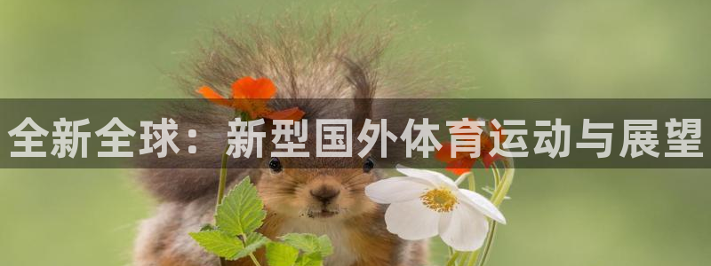 678体育知识：全新全球：新型国外体育运动与展望
