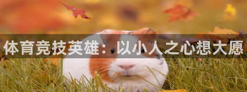 678体育官网地址：体育竞技英雄：以小人之心想大愿