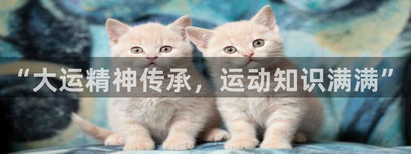 678体育官网：“大运精神传承，运动知识满满”