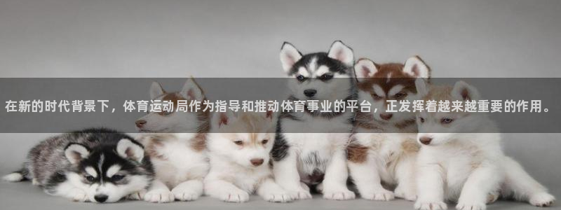 678体育官网下载：在新的时代背景下，体育运动局作为指导和推动体育事业的平台，正发挥着越来越重要的作用。