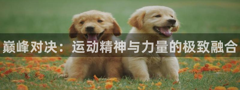 皇冠678体育：巅峰对决：运动精神与力量的极致融合