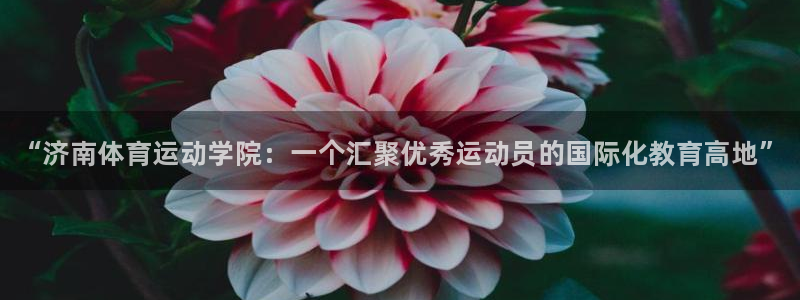 678体育app：“济南体育运动学院：一个汇聚优秀运动员的国际化教育高地”
