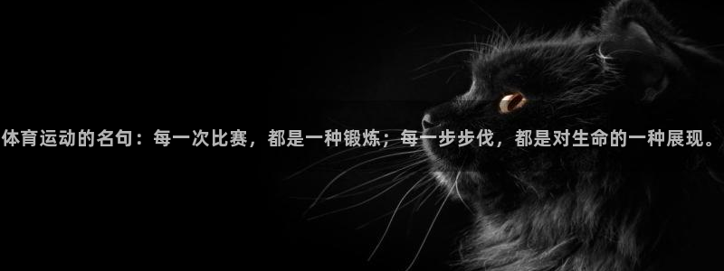 678体育app