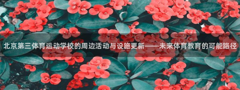 678体育官网下载：北京第三体育运动学校的周边活动与设施更新——未来体育教育的可能路径