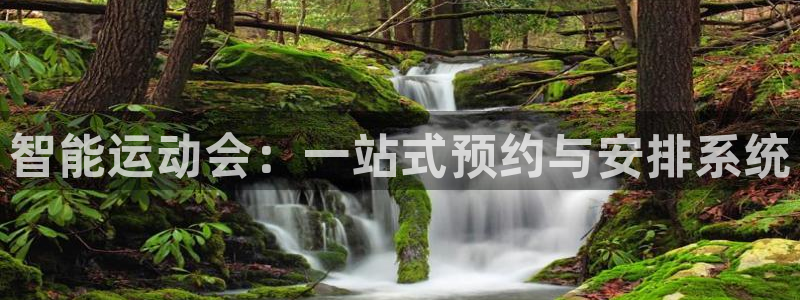 678体育官网下载：智能运动会：一站式预约与安排系统