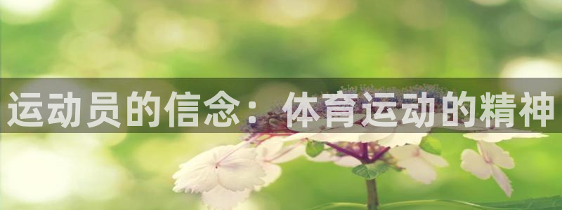 678体育：运动员的信念：体育运动的精神