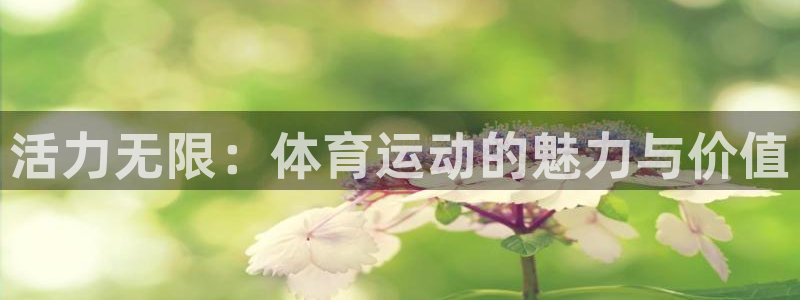 678体育：活力无限：体育运动的魅力与价值