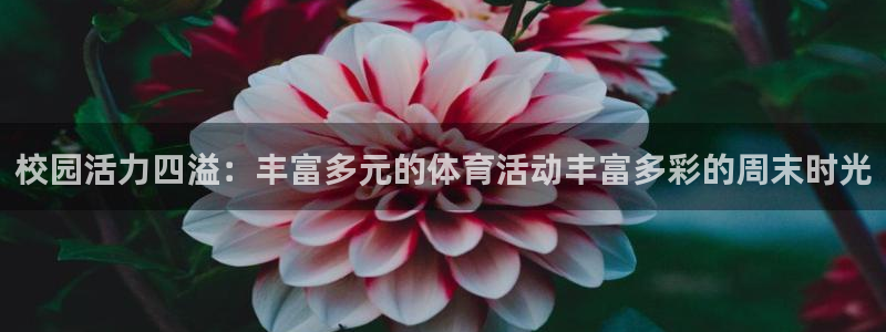 678体育官网下载：校园活力四溢：丰富多元的体育活动丰富多彩的周末时光