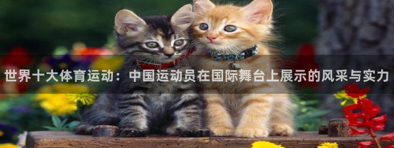 678体育官网：世界十大体育运动：中国运动员在国际舞台上展示的风采与实力