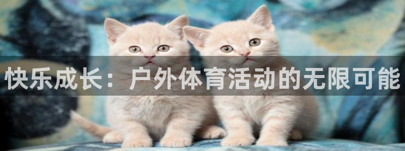 678体育官网：快乐成长：户外体育活动的无限可能