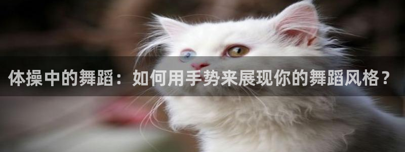 678体育app：体操中的舞蹈：如何用手势来展现你的舞蹈风格？