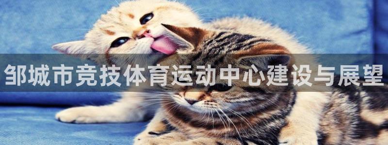 678体育：邹城市竞技体育运动中心建设与展望