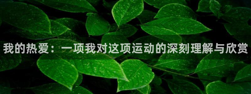 678体育官网地址：我的热爱：一项我对这项运动的深刻理解与欣赏