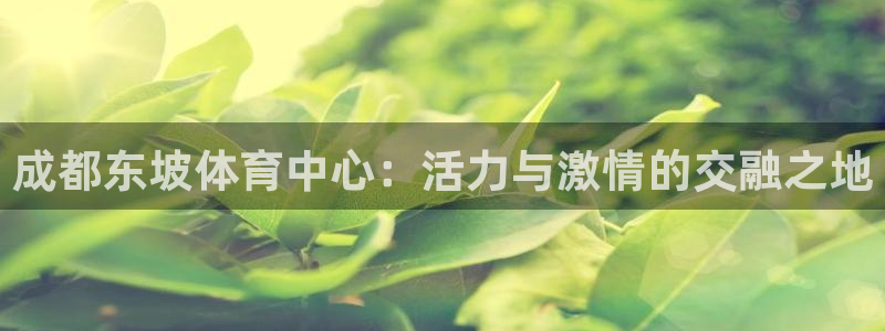 678体育