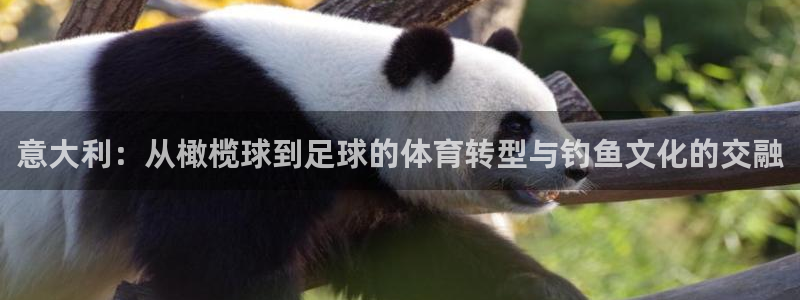 678体育官网下载：意大利：从橄榄球到足球的体育转型与钓鱼文化的交融
