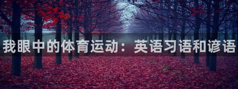 678体育app：我眼中的体育运动：英语习语和谚语