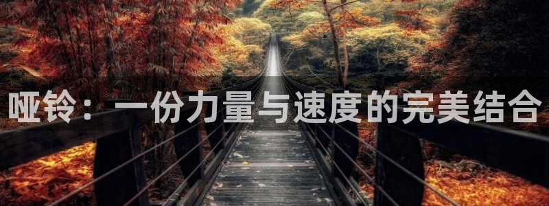 678体育官网下载：哑铃：一份力量与速度的完美结合