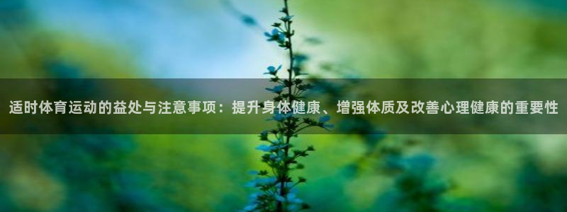 678体育知识：适时体育运动的益处与注意事项：提升身体健康、增强体质及改善心理健康的重要性