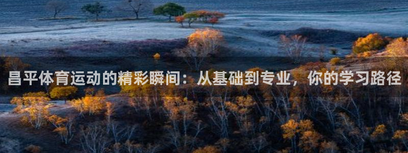 678体育官网下载：昌平体育运动的精彩瞬间：从基础到专业，你的学习路径
