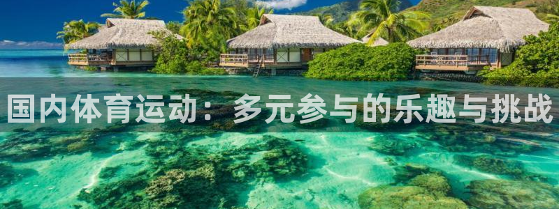678体育官网下载：国内体育运动：多元参与的乐趣与挑战