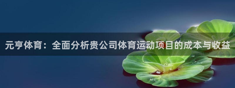678体育官网地址：元亨体育：全面分析贵公司体育运动项目的成本与收益