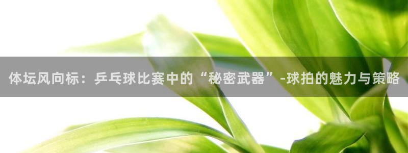 678体育app：体坛风向标：乒乓球比赛中的“秘密武器”-球拍的魅力与策略