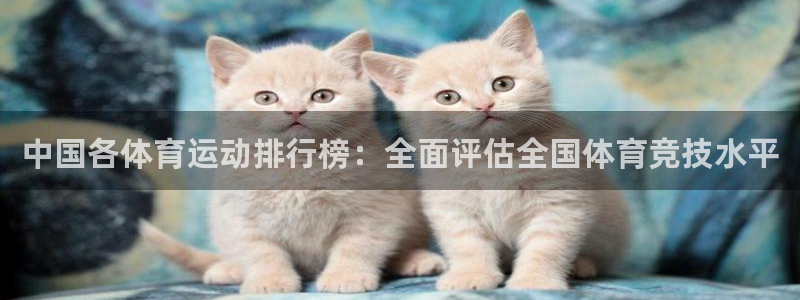 皇冠678体育：中国各体育运动排行榜：全面评估全国体育竞技水平
