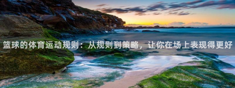 678体育app：篮球的体育运动规则：从规则到策略，让你在场上表现得更好