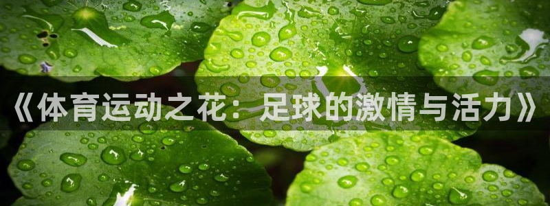 678体育官网：《体育运动之花：足球的激情与活力》