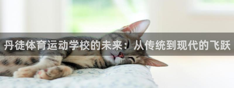 678体育官网下载：丹徒体育运动学校的未来：从传统到现代的飞跃