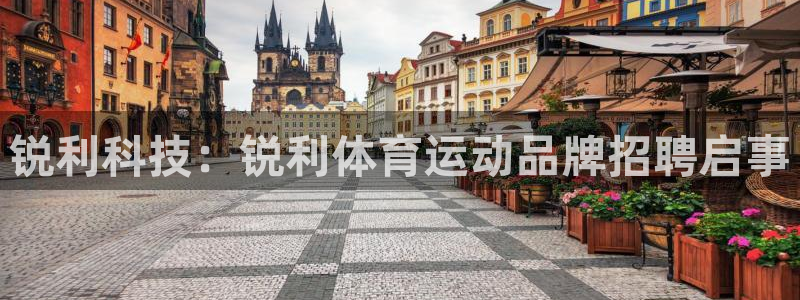678体育知识：锐利科技：锐利体育运动品牌招聘启事