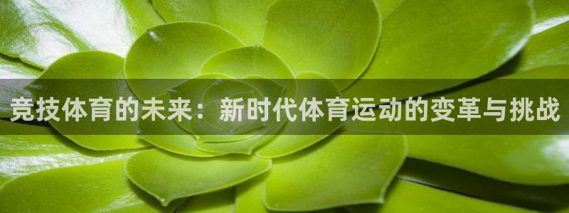 678体育知识：竞技体育的未来：新时代体育运动的变革与挑战