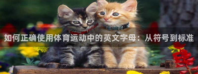678体育知识：如何正确使用体育运动中的英文字母：从符号到标准