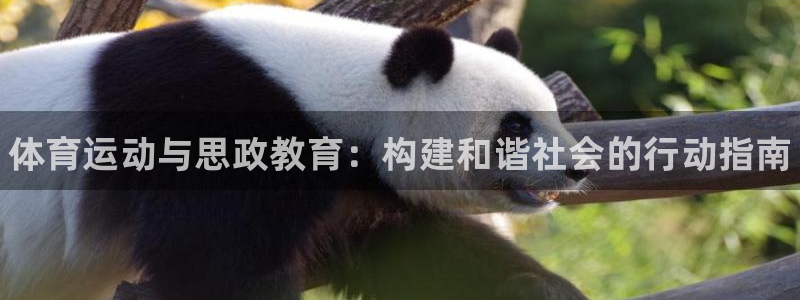 皇冠678体育：体育运动与思政教育：构建和谐社会的行动指南