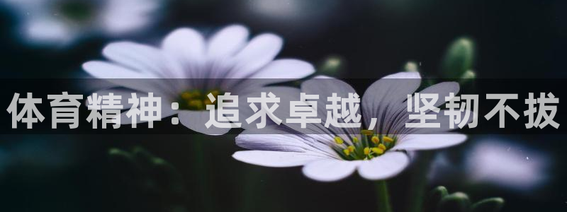 678体育官网地址