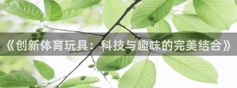 678体育官网：《创新体育玩具：科技与趣味的完美结合》