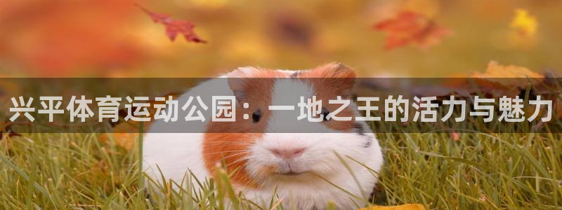 678体育官网地址：兴平体育运动公园：一地之王的活力与魅力