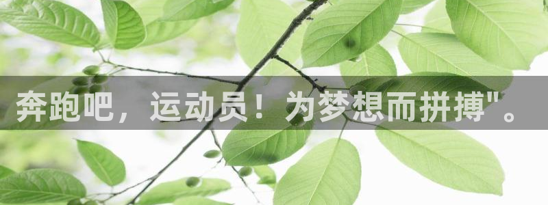 678体育官网下载：奔跑吧，运动员！为梦想而拼搏\