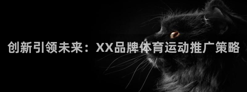 678体育官网下载：创新引领未来：XX品牌体育运动推广策略